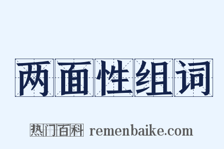 两面性组词是什么意思的图片
